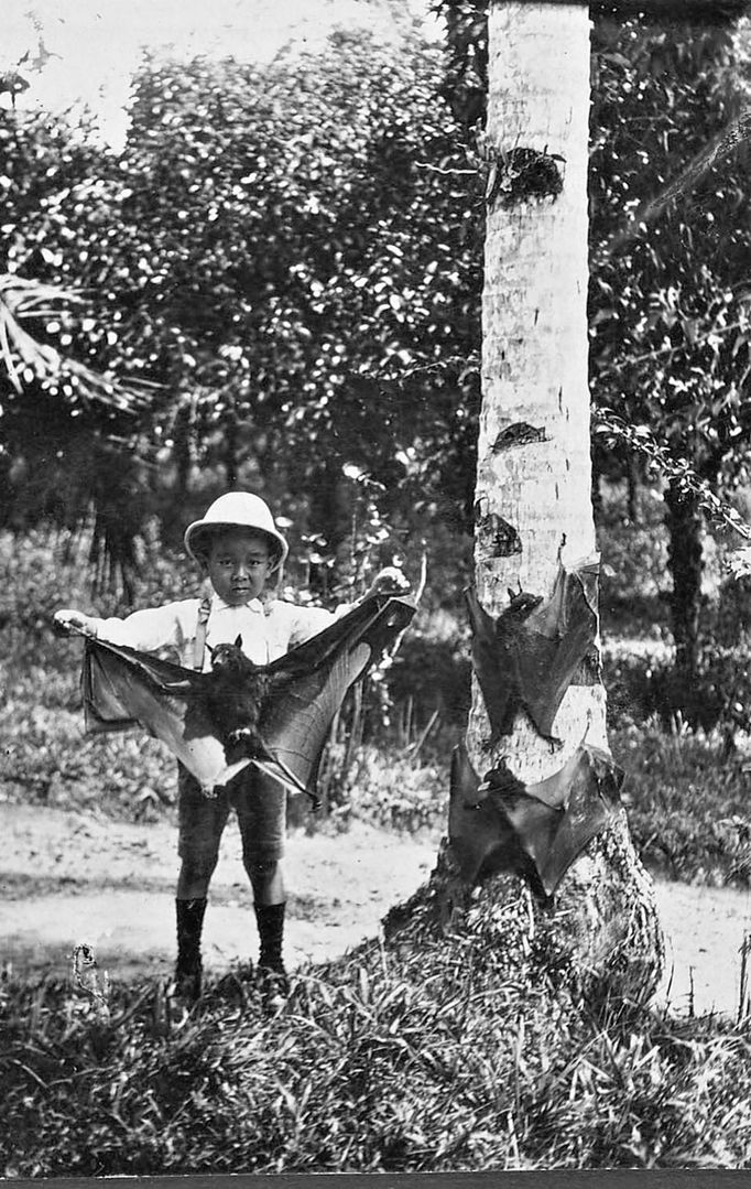 Indonésie. Fotografie z 20. Let 20. století, kterou pořídil přerovský rodák a cestovatel Bohumil Pospíšil.