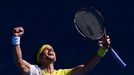 Australian Open: David Ferrer