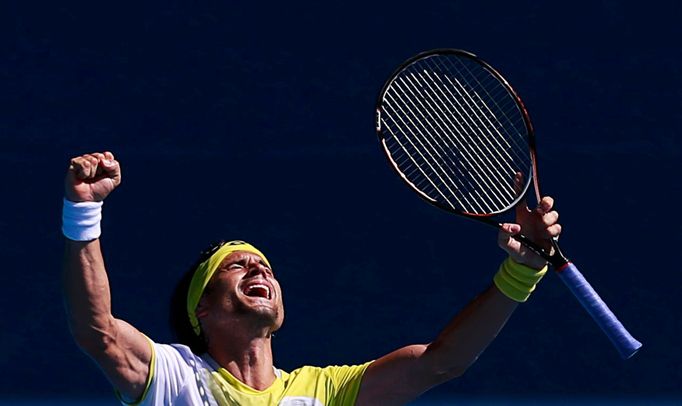 Australian Open: David Ferrer