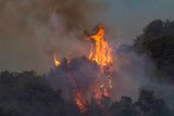 Podle posledních odhadů požáry zasáhly oblast větší než 20 tisíc hektarů. Škody se ale stále sčítají a budou pravděpodobně dál růst.