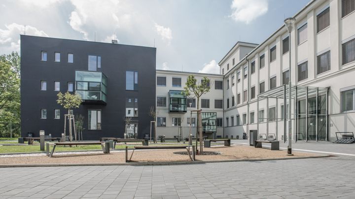 Rektor Ostravské univerzity navrhne odvolat děkana lékařské fakulty