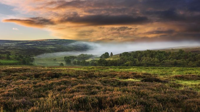 Román Hladový lán se odehrává na kraji vřesoviště, uprostřed divoké přírody. Na ilustračním snímku jsou vřesové mokřiny v anglickém národním parku North York Moors.
