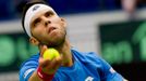 Davis Cup, ČR-Austrálie: Jiří Veselý