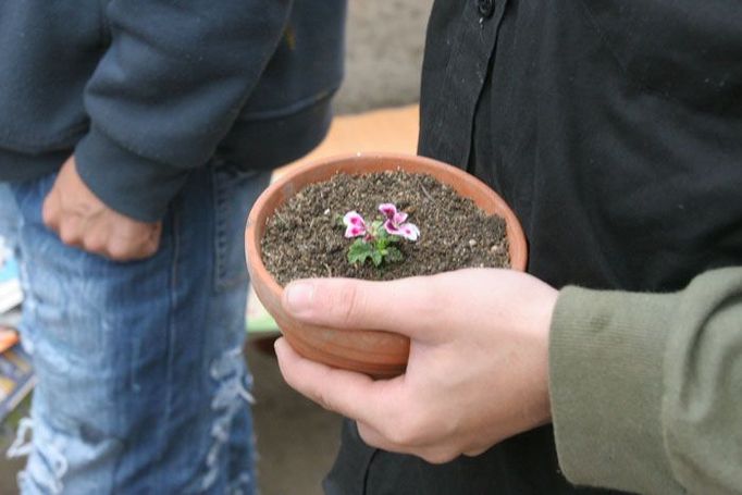 Jeden z chlapců si odnáší kytičku do svého pokoje. Rádi by se starali o zvířata, ale hygienici jsou proti.