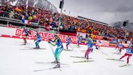 Biatlonistky ve složení Eva Puskarčíková, Markéta Davidová, Veronika Vítková a Gabriela Koukalová obsadily šesté místo