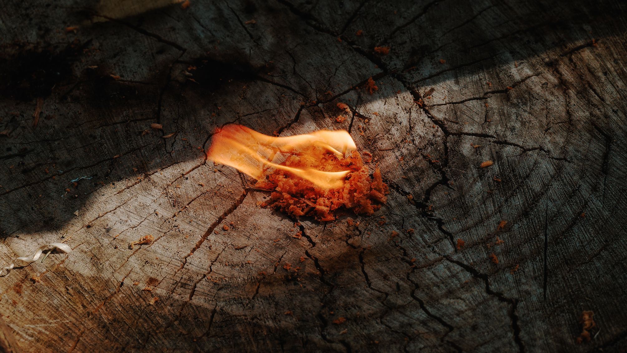 Bushcrafting, zálesáctví, pobyt v přírodě, les, bushcraft, Tomáš Krákora, kurz přežití