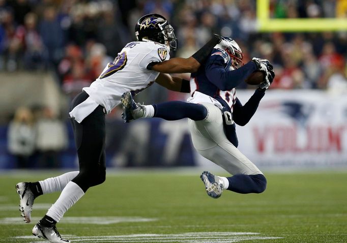 Cary Williams (Baltimore Ravens) -  Brandon Lloyd (New England Patriots)