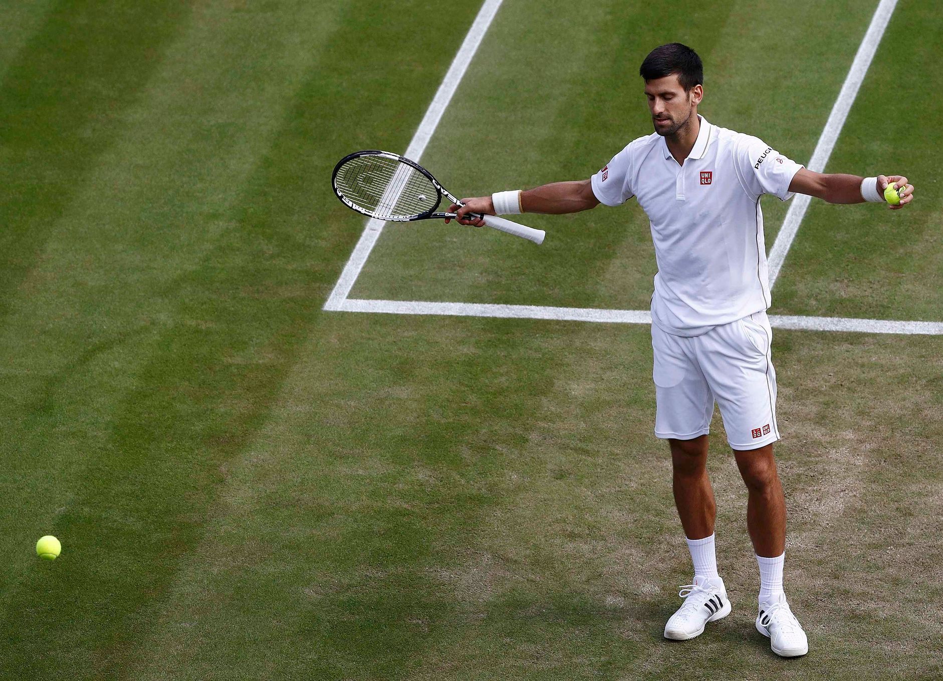 Wimbledon 2016: Novak Djokovič