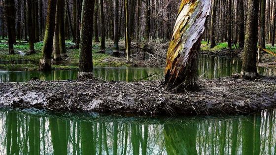 Jaro přineslo život i smrt. A odkrylo stopu pravěku