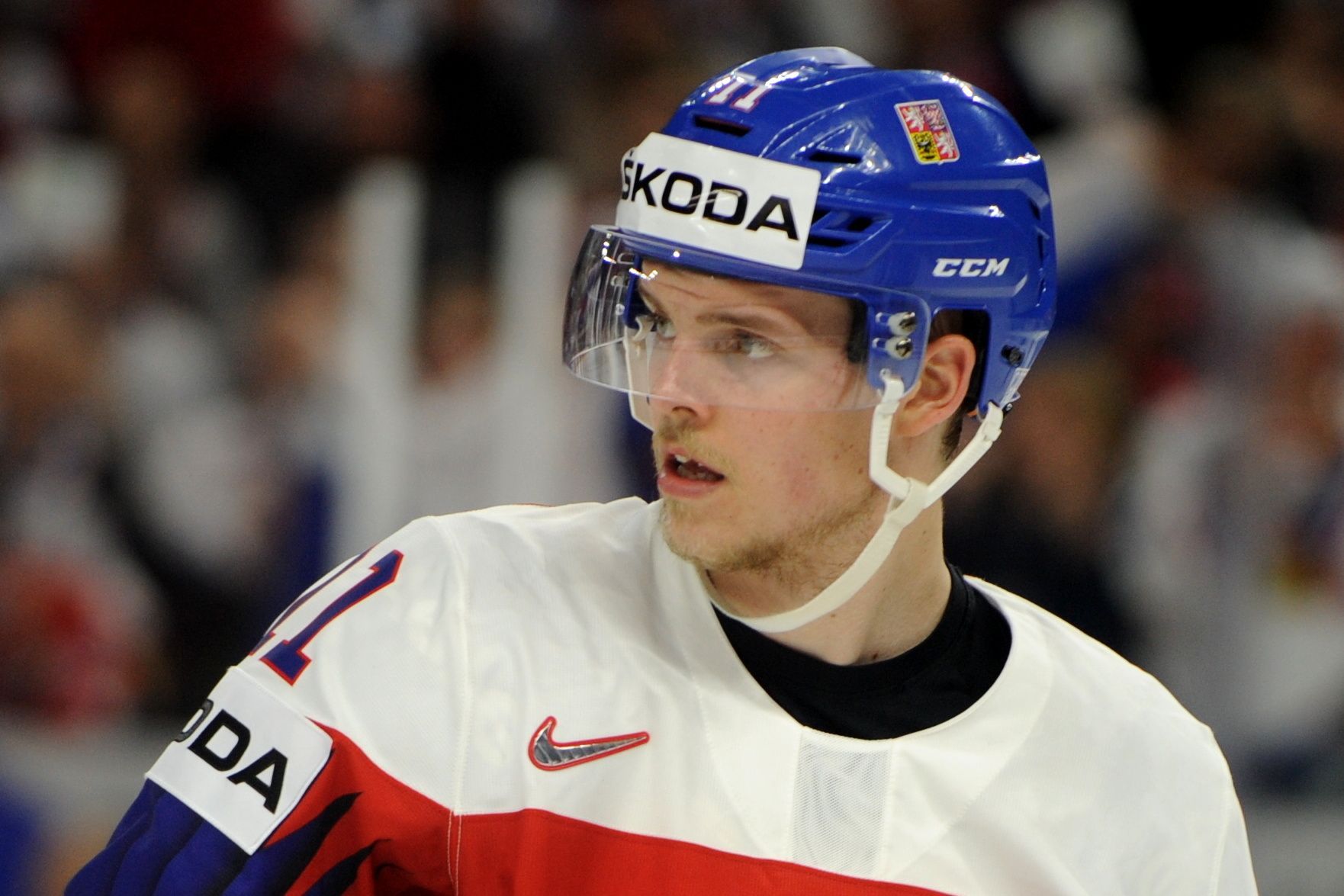 MS 2018 v hokeji, Česko - Slovensko: Andrej Nestrašil