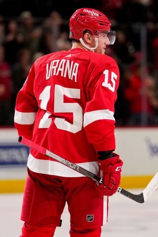 Jakub Vrána, Detroit Red Wings, NHL