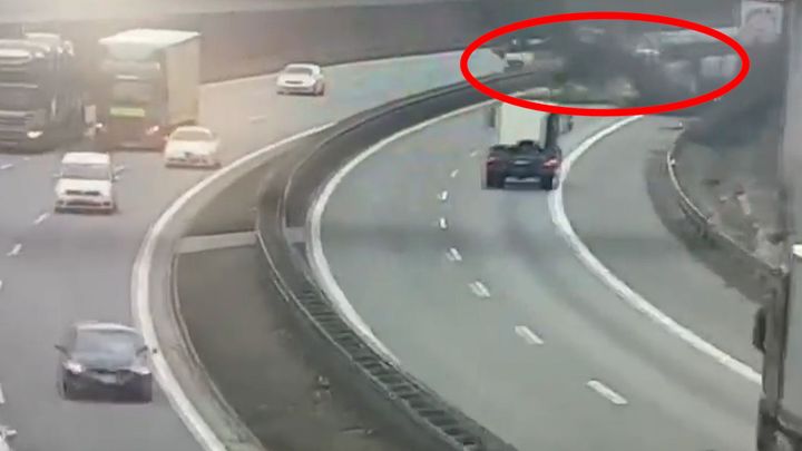 Znepokojivé video z D1. Vichr skácel stromy přímo před projíždějícími auty; Zdroj foto: Twitter/Jan Rýdl