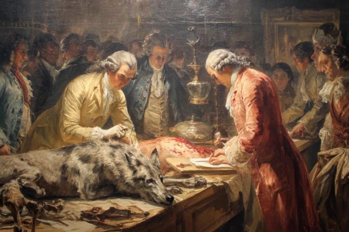 Umělecká fikce. Ilustrační obrázek vytvořený pomocí umělé inteligence.