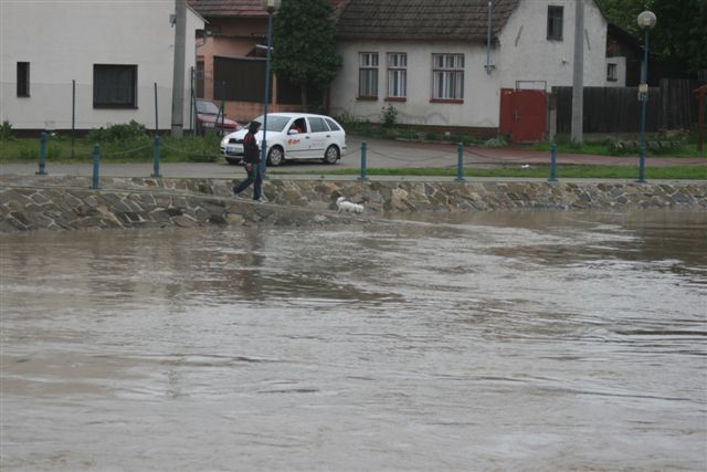 Proti toku vzedmuté Moravy