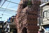 SunnyHills je cukrárna, která stojí v nákupní čtvrti Minato City v Tokiu. Spletitou dřevěnou konstrukci ve tvaru košíku navrhl architekt Kengo Kuma, který o ní v minulosti řekl, že do vytížené nákupní čtvrti přidala kus lesa. Stavba byla otevřená v roce 2014.