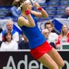 Fed Cup, ČR-Francie: Lucie Šafářová