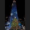 Vánoční strom - New York