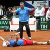 Davis Cup: Česko - Srbsko (Berdych, Navrátil, radost)
