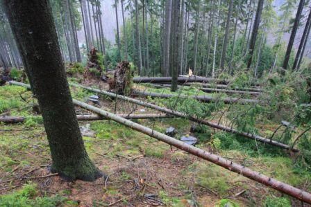 Následky vichřice v Krkonoších - 3