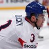 Hokej, MS 2013, Česko - Švýcarsko: Marek Židlický