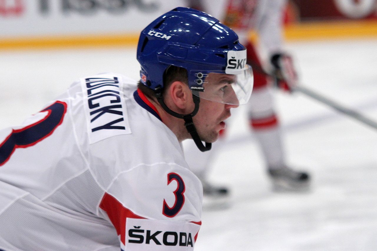Hokej, MS 2013, Česko - Švýcarsko: Marek Židlický