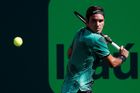Federer postoupil přes Del Potra do osmifinále turnaje v Miami