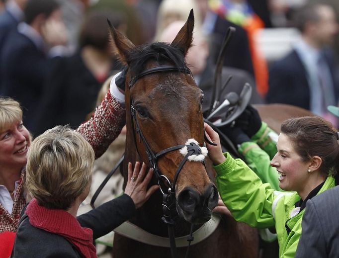 Women pat racehorse Rock on Ruby after it won the Champion Hurdle Challenge Trophy at the Cheltenham Festival horse racing meet in Gloucestershire, western England March 13, 2012.