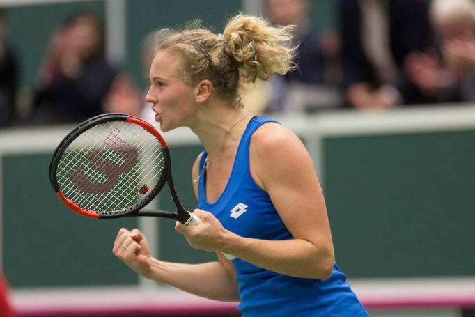 Siniaková vs. Buzarnescuová, Fed Cup, Česko vs. Rumunsko