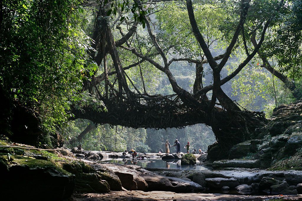 Foto: Překrásné fotografie světa od BBC /// Nepoužívat ve článcích! ///