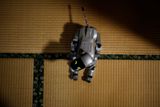 Vývoj těchto robotů pečovatelů financuje i japonská vláda. Do roku 2025 chce roboty nahradit 380 tisíc chybějících specializovaných pracovníků. Navíc si slibuje, že v budoucnu by mohla roboty vyvážet třeba do Evropy.