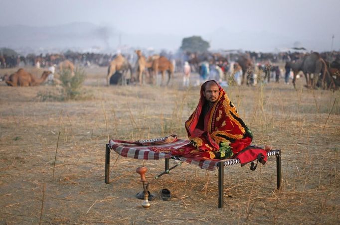 A camel herder sits on a bed in a field during the early morning at Pushkar Fair in the desert Indian state of Rajasthan November 23, 2012. Many international and domestic tourists throng to Pushkar to witness one of the most colourful and popular fairs in India. Thousands of animals, mainly camels, are brought to the fair to be sold and traded. REUTERS/Danish Siddiqui (INDIA - Tags: SOCIETY ANIMALS ENVIRONMENT) Published: Lis. 23, 2012, 8:08 dop.