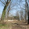 Statek Cibulka
