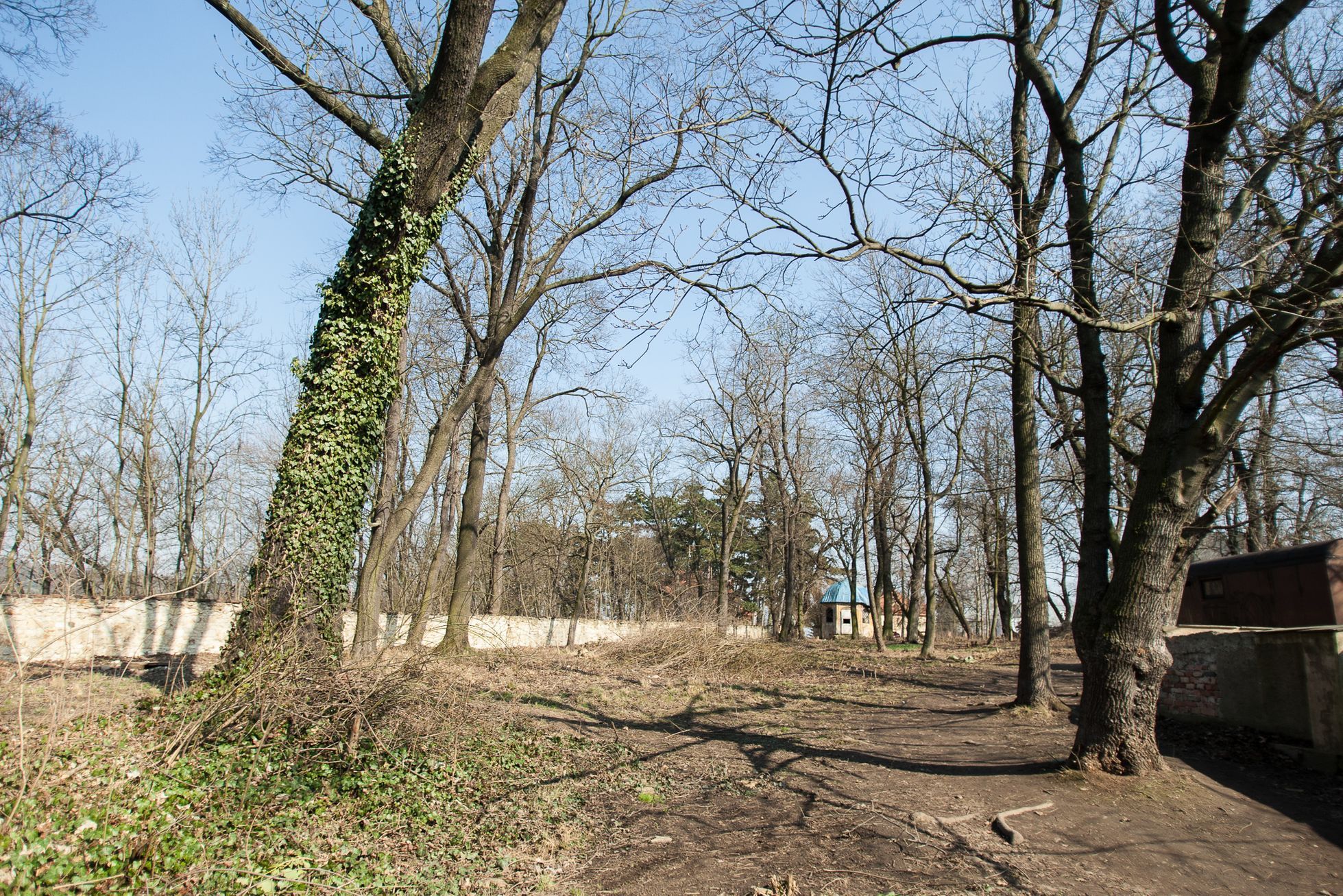 Statek Cibulka