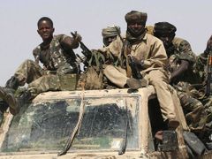 Jednat se bude ale především o naléhavých problémech, které Afriku rozdělují - o genocidě v súdánském Dárfúru a o situaci v Zimbabwe