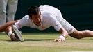 Djokovič vs. Del Potro, semifinále Wimbledonu 2013.