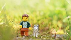 LEGO