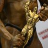 Bodybuilding v Novosibirsku