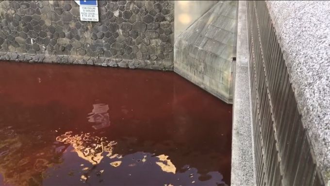 Video: Vltava v pražském centru se zbarvila do ruda.