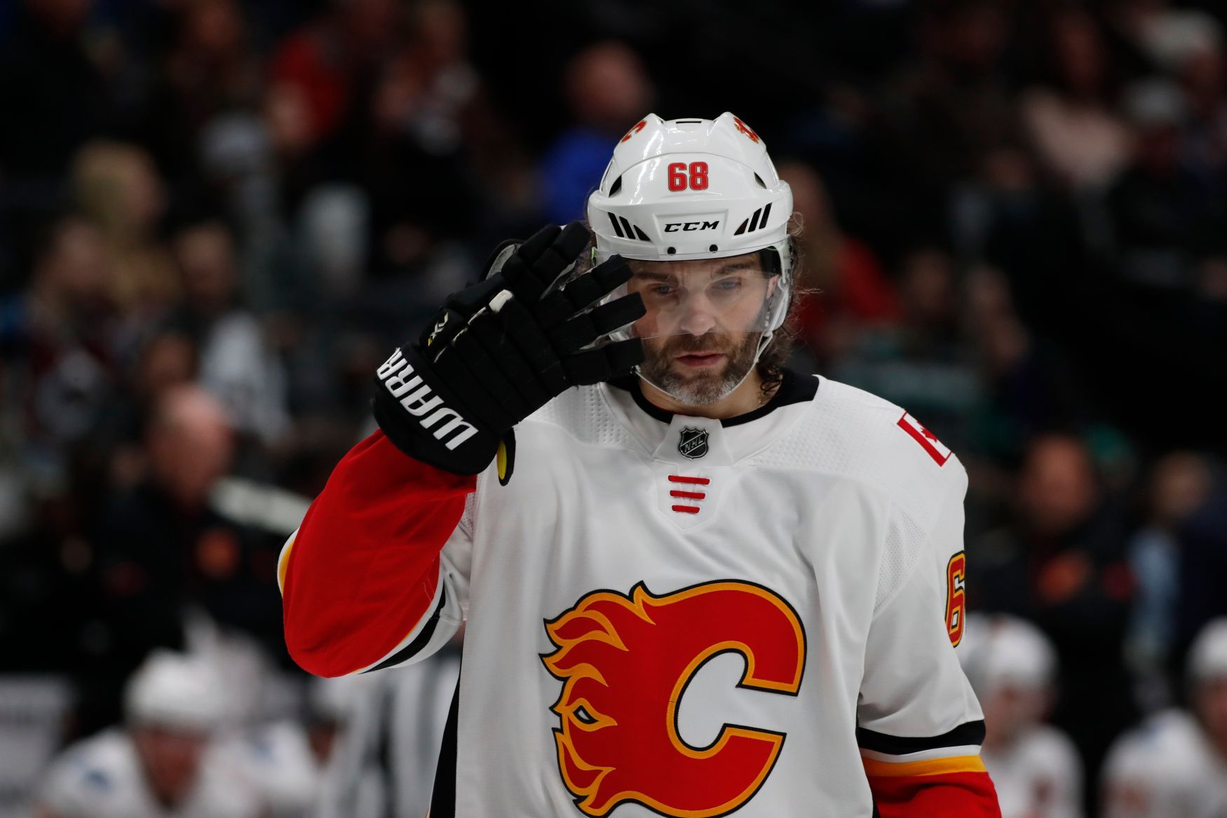 Jaromír Jágr, Calgary, NHL 2017/18