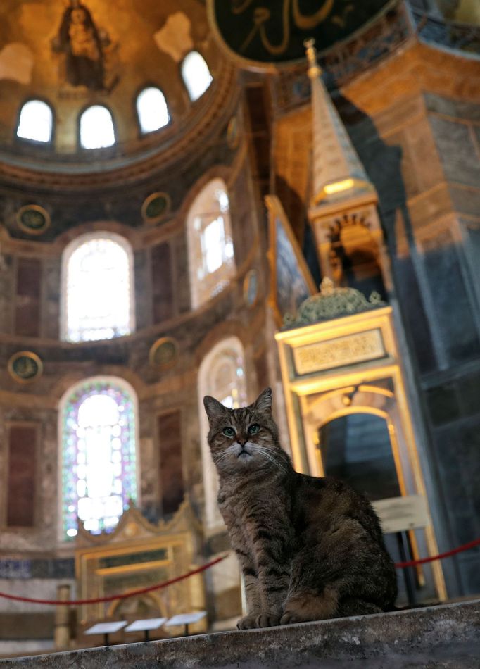 Hagia Sofia před otevřením jako mešity