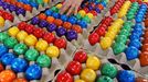 Eastereggs Coloured eggs lie at the egg colouring company Beham in Thannhausen, Germany, 13 April 2011. Every day, 180 000 eggs are coloured and cooked here. Photo: Stefan Puchner | Location: Thannhausen, Bavaria, Germany.