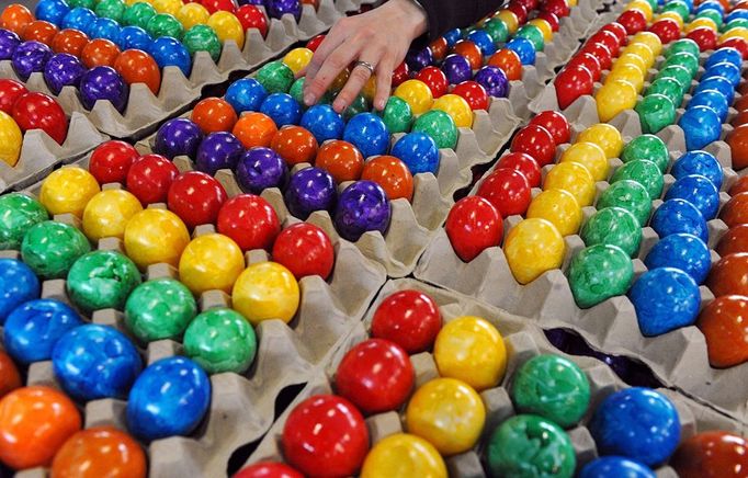 Eastereggs Coloured eggs lie at the egg colouring company Beham in Thannhausen, Germany, 13 April 2011. Every day, 180 000 eggs are coloured and cooked here. Photo: Stefan Puchner | Location: Thannhausen, Bavaria, Germany.