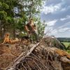 Bushcrafting, zálesáctví, pobyt v přírodě, les, bushcraft, Tomáš Krákora, kurz přežití