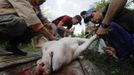 Luis Salgado (C, red shirt), nicknamed Chucho, holds a pig as he and relatives slaughter it for meat at their home in the village of Sagua La Grande in central Cuba, March 10, 2013. Chucho was granted a U.S. visa based on his father's status as legal resident in Texas, and he was reunited in Miami with his father, Jesus Salgado, who had escaped Cuba on a frail boat ten years earlier. The Salgados are among many Cubans taking advantage of Cuba's new travel policy in place since last January, which allows citizens to leave the country with just a passport and no need for much-hated exit visas required since 1961. Picture taken March 10, 2013. REUTERS/Desmond Boylan (CUBA - Tags: POLITICS SOCIETY) Published: Dub. 11, 2013, 1:35 odp.