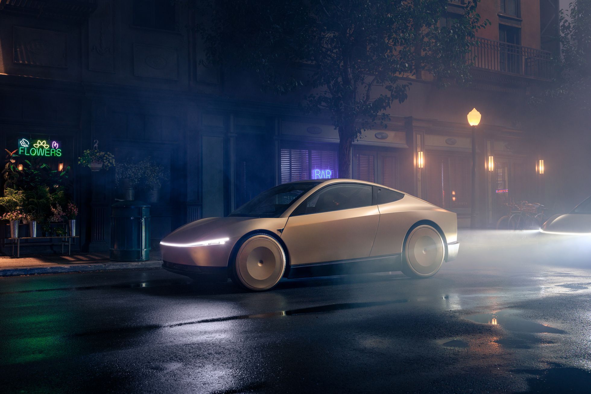 Tesla Robotaxi