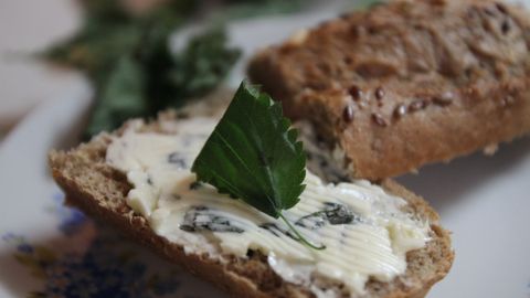 Jarní jídelníček: Zkuste kopřivové máslo ze smetany. Osvěží a dodá tělu cenné látky