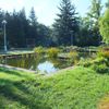 U psychiatrické kliniky v Brně rozkvetla zahrada, pomůže pacientům v léčbě