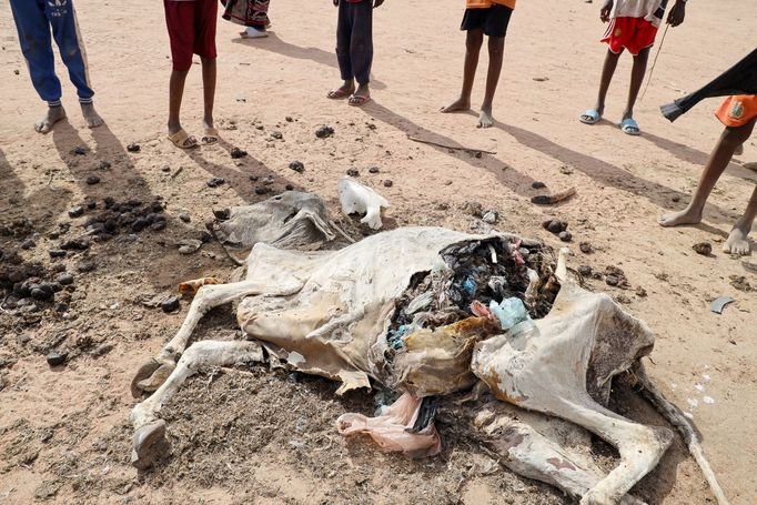 Snímek z Keňské republiky v Africe, která byla pořízena v oblasti města Dadaab v roce 2022, kde je i velký uprchlický tábor pro lidi, kteří byli postižení hladomorem.