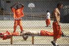 Věznice v USA si namísto bachařů pořídila vlčí křížence