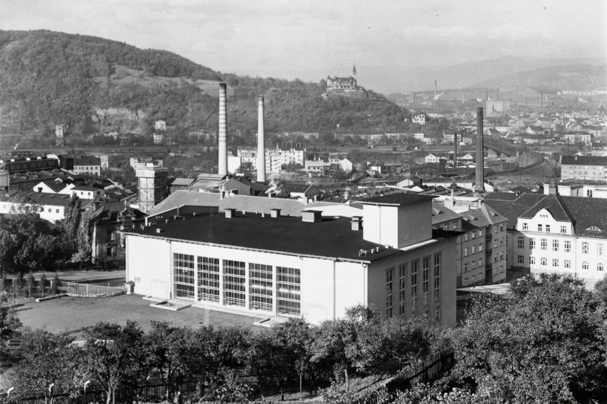 Mozkožrout, PAME, bakterie, epidemie, Ústí nad Labem, Domácí